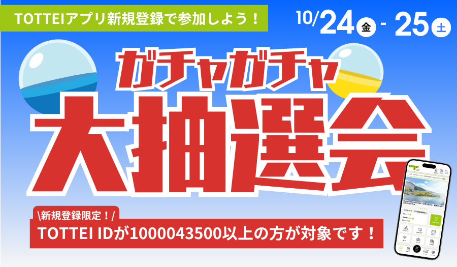 Chara / HY / Original Love / SIRUP 出演決定！神戸で年の瀬に“大人
